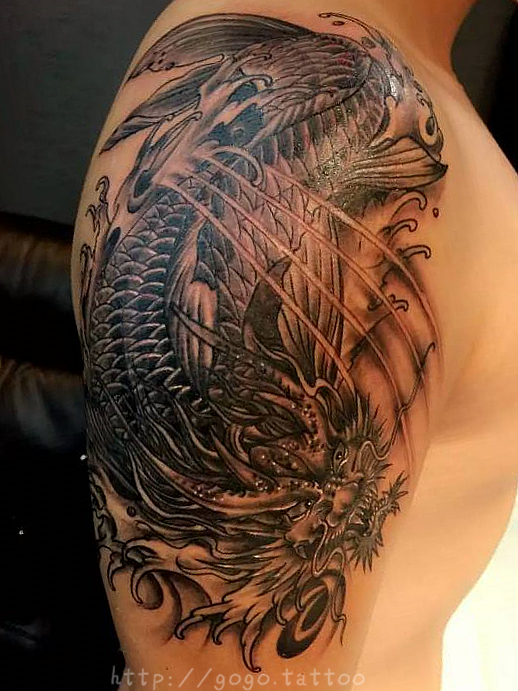 Koi or Dragon