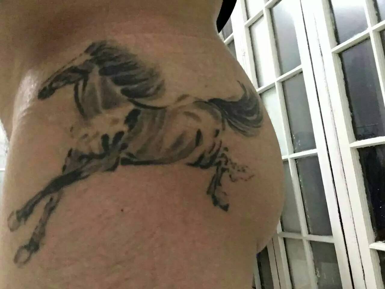 Horse butt